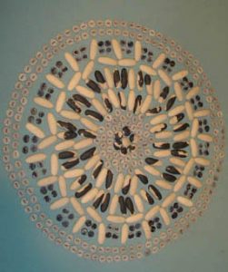 mandala arrecife